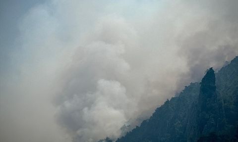 Sakarya'dan Bilecik'e Sıçrayan Orman Yangınına Müdahale Devam Ediyor