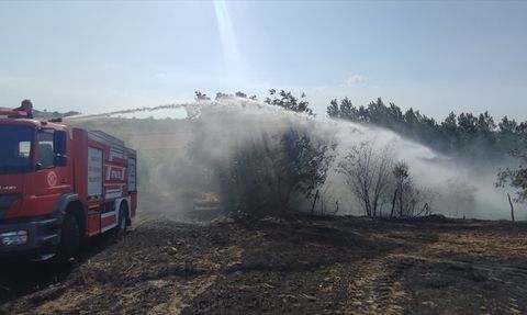 Samsun'da Ekili Arazide Yangın: 40 Dönüm Zarar Gördü