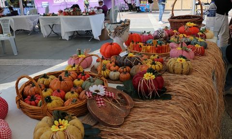 Samsun'da Kadın Emeği Festivali Başladı