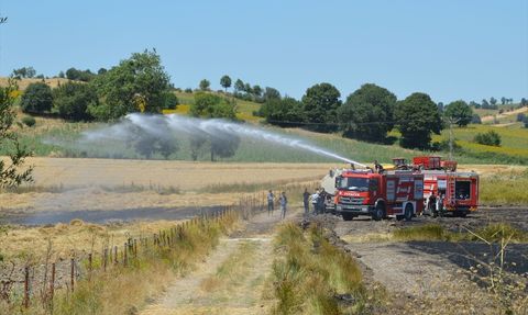 Samsun'da Yangın 100 Dekar Tarım Arazisini Zarar Gördü