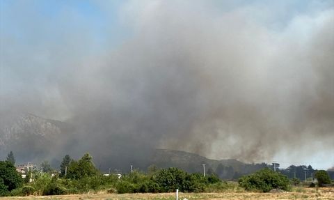 Serik'te Orman Yangınına Hızla Müdahale Ediliyor