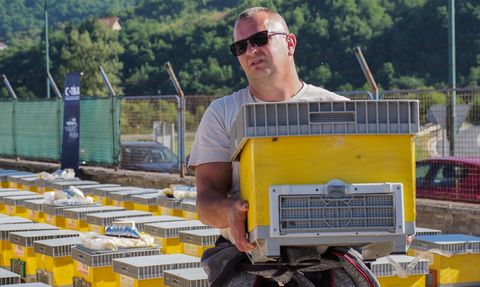 TİKA Bosna Hersek’te Arıcılara Destek Verdi