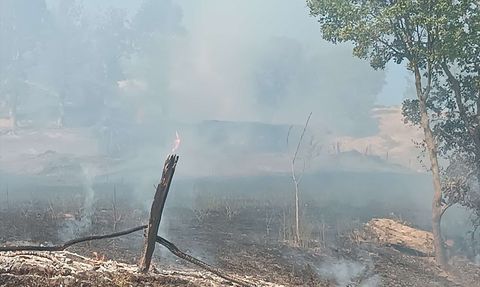 Tokat'ta Arazi Yangını: 10 Dönüm Zarar Gördü