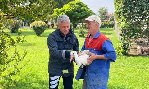 Tokat'ta Yaralı Leylek İtfaiye Ekipleri Tarafından Kurtarıldı