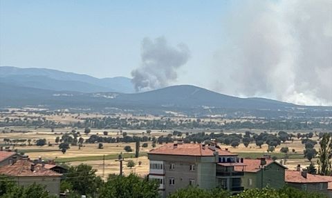Uşak'taki Meşelik Yangınına Müdahale Devam Ediyor