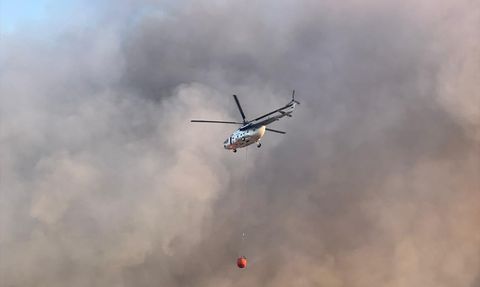 Uşak'ta Orman Yangını: Ekipler Mücadeleye Devam Ediyor