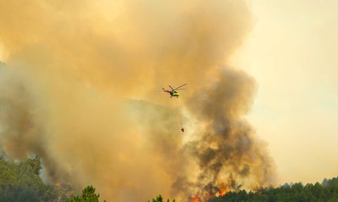 Uşak'taki Orman Yangını Kontrol Altına Alındı