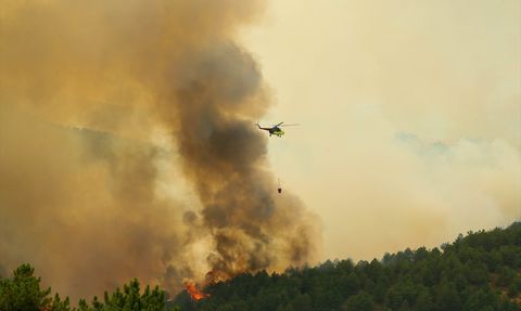 Uşak'taki Orman Yangınına Hızla Müdahale Ediliyor
