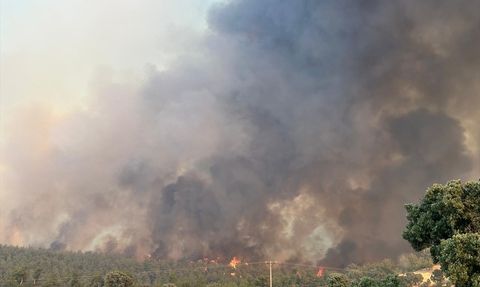 Uşak'taki Orman Yangınına Müdahale Devam Ediyor
