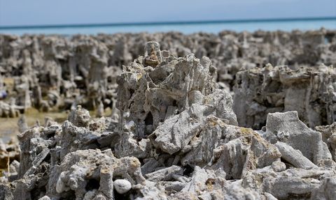 Van Gölü'nde Dalgıçlar Mikrobiyalitleri Keşfetti