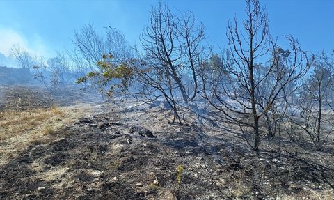 Zonguldak'taki Yangın Kontrol Altına Alındı