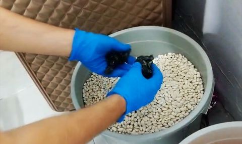 Adana'da Uyuşturucu Operasyonu: 6 Zanlı Tutuklandı