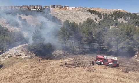 Adıyaman'da Orman Yangını Kontrol Altına Alındı