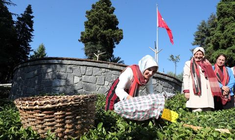 Aile Yılı Kapsamında Bakan Göktaş, 63 Yıllık Evliliği Ziyaret Etti