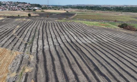 Anız Yakmanın Zararları: Doğa ve Tarım Üzerindeki Etkileri