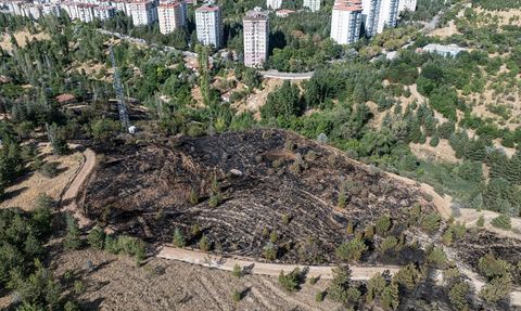 Ankara'da Çalılık Alanda Yangın Kontrol Altına Alındı