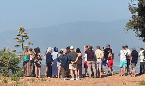 Antalya'da Nadir Görülen Agave Bitkisi Çiçek Açtı