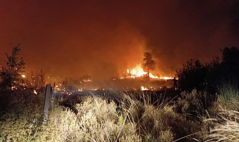 Antalya'da Tarım Alanında Yangın Çıktı, Ormanlık Alana Sıçradı