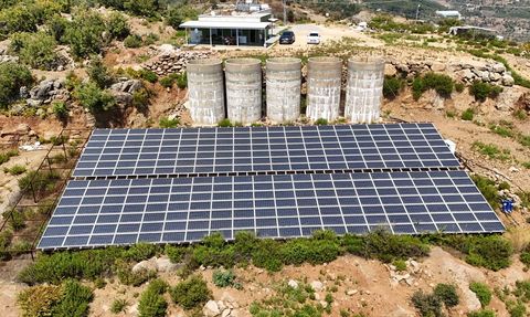 Antalya'da Tropikal Meyve Bahçelerinde Güneş Enerjisi Dönemi