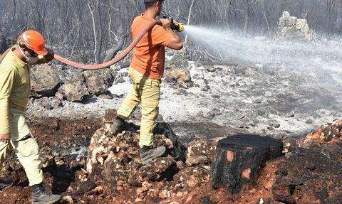 Antalya'daki Orman Yangını Kontrol Altında