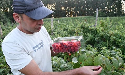 Atıl Araziyi Meyve Bahçesine Dönüştüren Onur Kurnaz'ın Başarısı