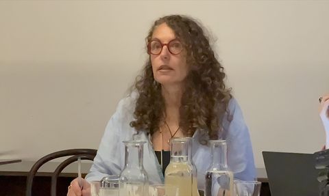 Avusturyalı Avukat, BRP Rotax'ın İHA Motoru İhracatını Mahkemeye Taşıyacak