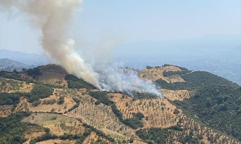Aydın'daki Tarımsal Yangına Müdahale Başlatıldı