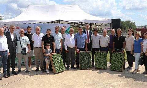 Bafra Ovası'nda Sebze Fidesi Dağıtımı Gerçekleşti