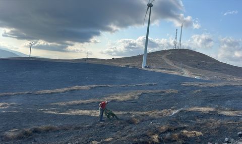 Balıkesir Paşalimanı Adası'ndaki Yangın Kontrol Altına Alındı