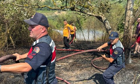 Bartın'da Anız Yangını Kontrol Altına Alındı