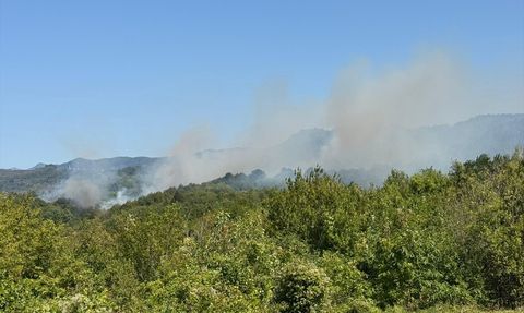Bartın'daki Orman Yangını Kontrol Altına Alındı