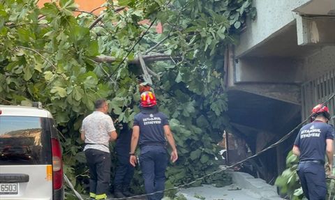 Beyoğlu'nda Devrilen Ağaçlar Araçlara Zarar Verdi