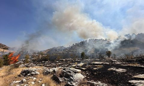 Bingöl'de Orman Yangınına Müdahale