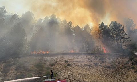 Bolu'da Orman Yangınına Müdahale Başlatıldı