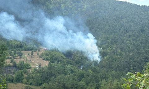 Bolu'daki Orman Yangını Kontrol Altına Alındı