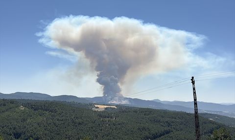 Bolu'daki Orman Yangınına Hızla Müdahale Ediliyor