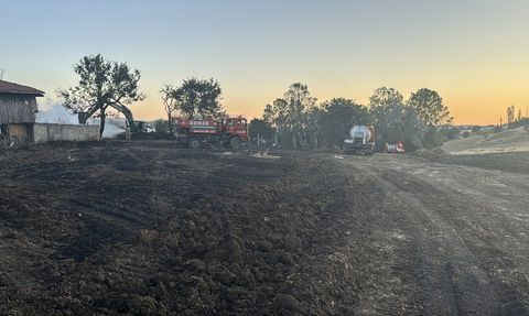 Bolu'daki Yangında 3 Ev ve 2 Ahır Alev Alev Yandı