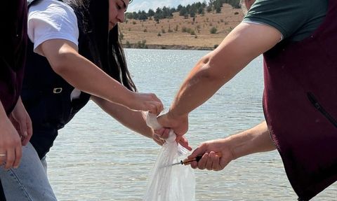 Bozoğlu Göleti ve Akhasan Barajı'nda 320 Bin Sazan Yavrusu Salındı