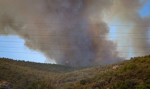 Bursa'da Orman Yangını: Yenişehir-Bursa Yolu Trafiğe Kapatıldı