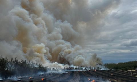 Bursa'da Orman Yangınına Hızla Müdahale Ediliyor