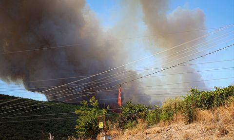 Bursa'da Orman Yangınına Müdahale Devam Ediyor