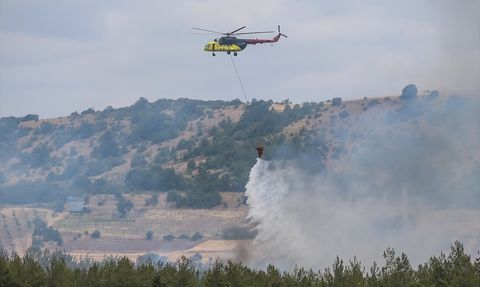 Bursa'daki Orman Yangını Kontrol Altına Alındı