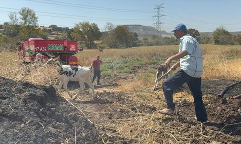 Çanakkale'de Ahır Yangını Kontrol Altına Alındı