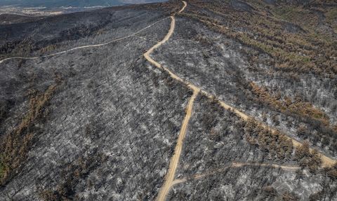 Çanakkale'de Orman Yangını: Zarar Gören Alanlar Dronla Görüntülendi