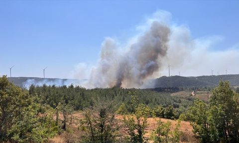 Çanakkale'de Orman Yangınına Hızlı Müdahale