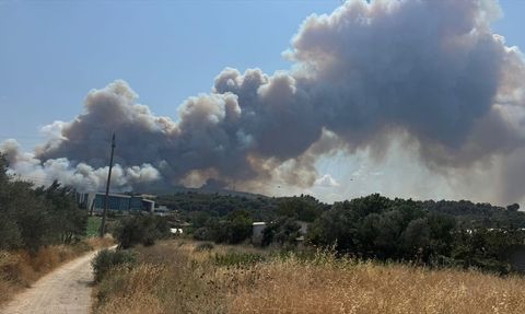 Çanakkale'deki Orman Yangınına Hızla Müdahale Ediliyor