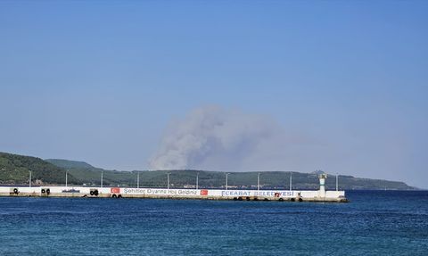 Çanakkale Gelibolu'da Yangınla Mücadele Devam Ediyor