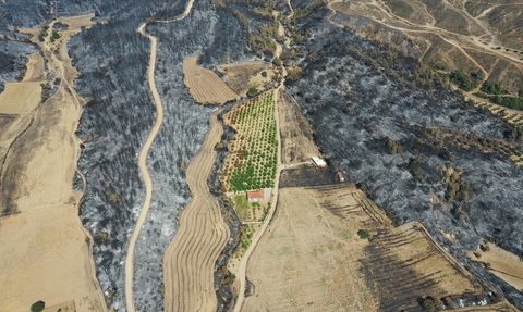Çanakkale Gelibolu Yangını ve Tarım Arazileri