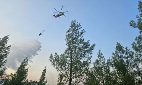 Denizli Acıpayam'da Orman Yangını Kontrol Altına Alınıyor