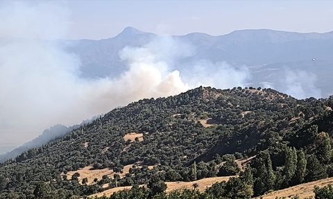 Denizli'de Orman Yangınına Müdahale Devam Ediyor